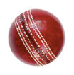 Bat image